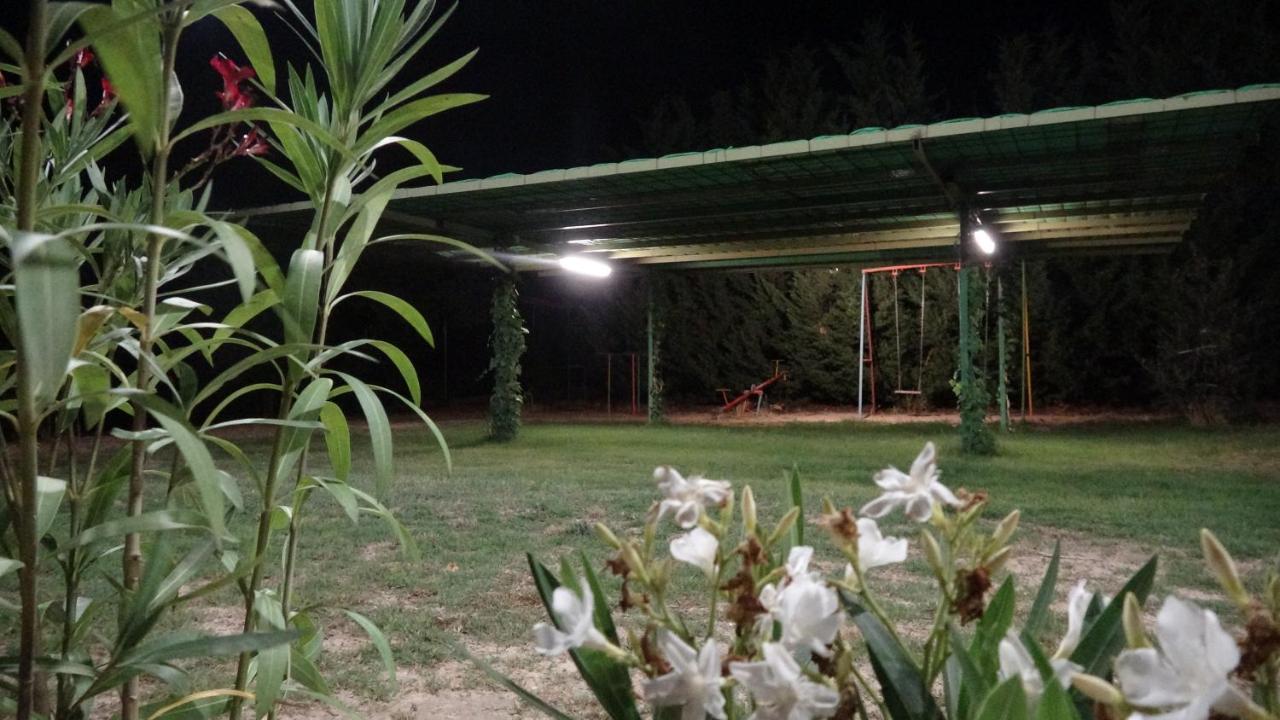 Entrevinedos De Bodegas Marcos Hébergement de vacances *