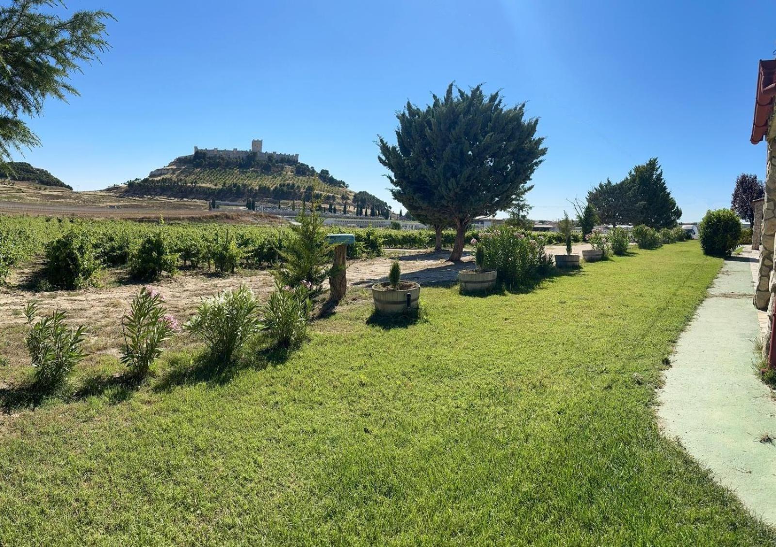 Entrevinedos De Bodegas Marcos Hébergement de vacances *